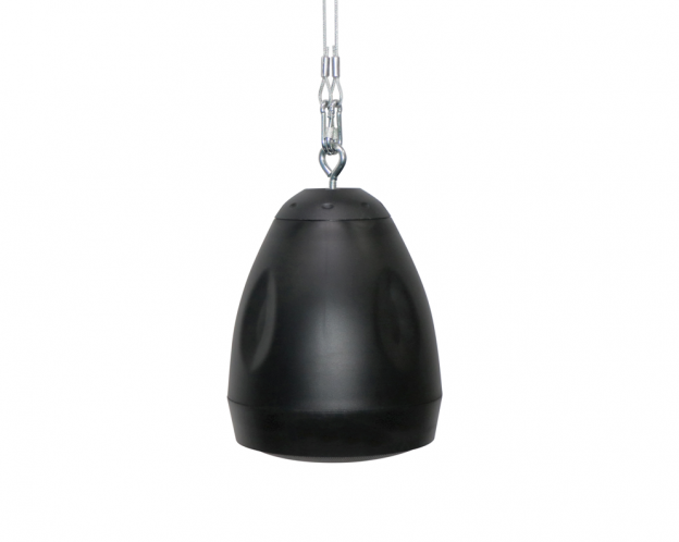 BAS Pendant Ceiling Speaker 10861 5 inch BGM Paging Kleur Zwart